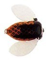 Спиннербэйты фирмы yakima bait. Расцветка MBBL